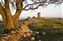 Pontypool, South Wales.jpg