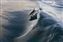 Dolphin, Australia.jpg