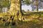 Lyme Park Near Manchester.jpg