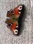 Peacock Butterfly.jpg