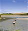 Camel Trail, Padstow, Cornwall.jpg