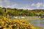 Lamlash, Isle of Arran.jpg