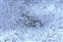 Frosted Glass.jpg