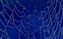 Spider Web.jpg